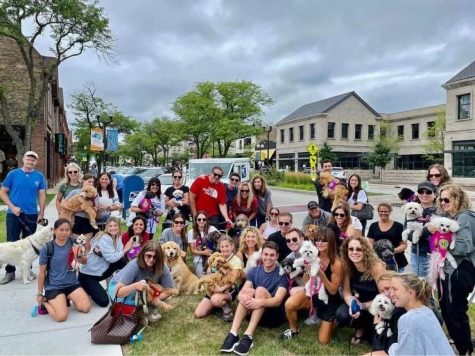 Volunteers and their dogs gather in Highland Park to help residents suffering from trauma with pet therapy. Courtesy of Julie Gorden 