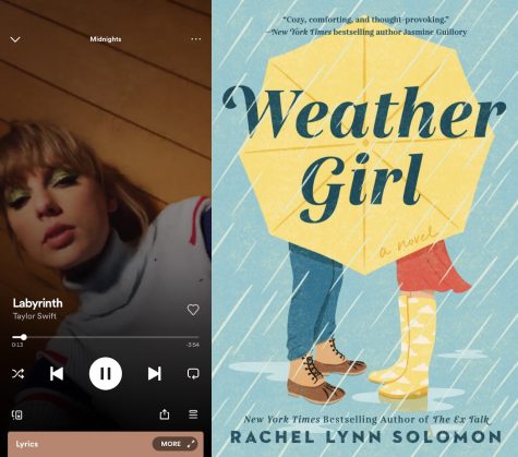 taylor swift songs as book recommendations 