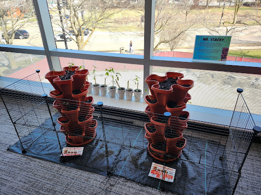 The Vertical Gardening Initiative